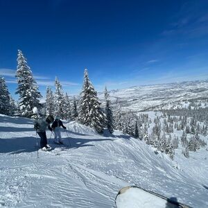 Meet your Posher, Ella